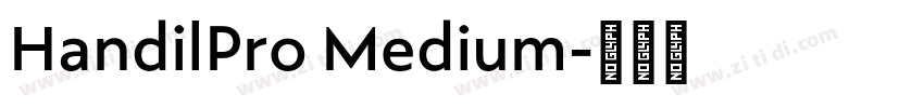 HandilPro Medium字体转换
